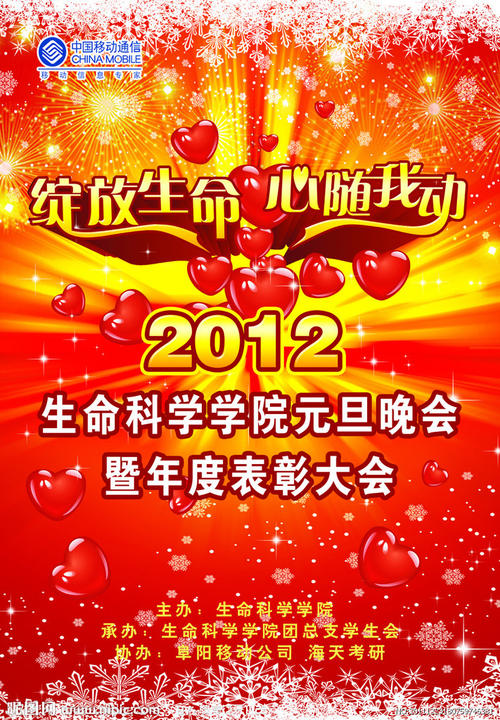 鹿特丹伊斯兰大学 Media diploma